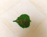 簡単！梅しそささみチーズ春巻き作り方1写真