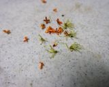 金木犀シロップ作り方2写真