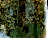 シソの花の梅酢漬け作り方4写真