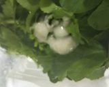 大根の間引き菜の漬物作り方3写真