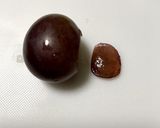 何連鎖でも簡単に(^-^) 美味ぷよぷよ作り方1写真