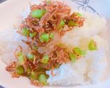簡単！大根の葉と釜揚げしらすの混ぜご飯作り方2写真