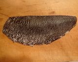 龍飛のマツカワのムニエル作り方2写真