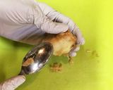 ご飯がすすむ!豚の生姜焼き作り方1写真