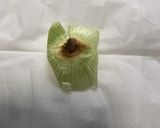 玉ねぎスライス、横バージョン(^◇^;)作り方4写真