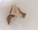 【離乳食初期】白身魚ペースト（かれい）作り方3写真
