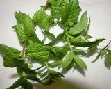 ハーブ香るオリーブオイル作り方3写真