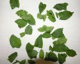 ハーブ香るオリーブオイル作り方5写真