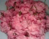 桜の花の塩漬け作り方2写真