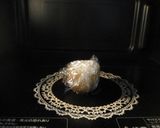 塩もみ白菜入りポテサラ作り方1写真