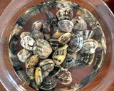 液体みそで作る一番簡単な貝汁作り方1写真