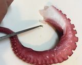 簡単!タコのカルパチョ!作り方9写真
