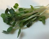 簡単!タコのカルパチョ!作り方6写真
