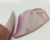 簡単!タコのカルパチョ!作り方15写真