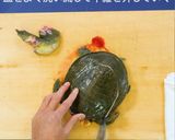 すっぽん作り方2写真
