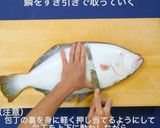 平目五枚卸し作り方1写真