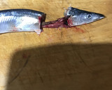 皮まで美味しい秋刀魚の塩焼き作り方2写真