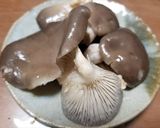 ブナハリタケなど天然多種キノコの混ぜご飯作り方3写真