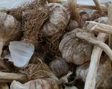 イラン料理 2種類のにんにく酢漬け作り方1写真