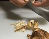 *松茸とさきいかの和風パスタ*作り方1写真