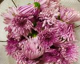 食用菊と生わさびの おひたし☆菊の茹で方作り方1写真