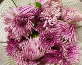 食用菊と生わさびの おひたし☆菊の茹で方作り方1写真