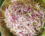 食用菊と生わさびの おひたし☆菊の茹で方作り方4写真