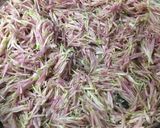 食用菊と生わさびの おひたし☆菊の茹で方作り方5写真