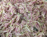 食用菊と生わさびの おひたし☆菊の茹で方作り方5写真
