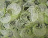 胡瓜と生ずいき酢の物作り方2写真