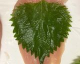 簡単くるくるササミフライ✨パン粉だけ〜作り方4写真