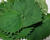 ハタケシメジ、他、野菜など油炒め・味噌味作り方4写真