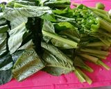 失敗ゼロ!小松菜を茹でる!作り方3写真