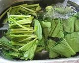 失敗ゼロ!小松菜を茹でる!作り方4写真