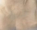 鹹豬肉入り水煎包≒肉まん（豚まん）作り方7写真