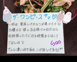 小松菜と舞茸とベーコンの簡単炒め作り方8写真