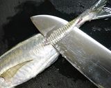初心者向き！鯵の開き方☆アジフライ用作り方1写真