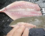 初心者向き！鯵の開き方☆アジフライ用作り方9写真