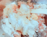 混ぜて焼くだけ！れんこんと鶏のつくね作り方3写真