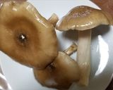 ウラベニホテイシメジ、ワカメ、焼きキノコ作り方3写真