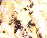 キャベツの塩昆布漬け作り方2写真