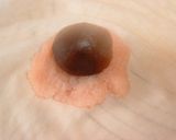 まるごと桜餅パン作り方4写真
