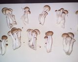 簡単！ぶなしめじのベーコン揚げ作り方2写真