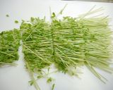 簡単！ツナと豆苗の鶏だし煮作り方1写真