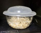 もやしのナムル作り方1写真