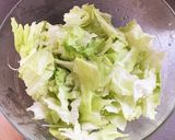 シャキシャキキャベツのシーチキン和え作り方1写真