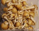 夕♪株なめこトマト栗アボカドのポン酢和え作り方1写真