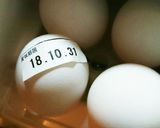 簡単❗生卵の賞味期限管理✨作り方2写真