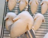HB使用＊ハロウィンなお化けアンパン♪作り方10写真