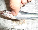 手開き説明付♪ひこいわしのアンチョビ風♪作り方1写真